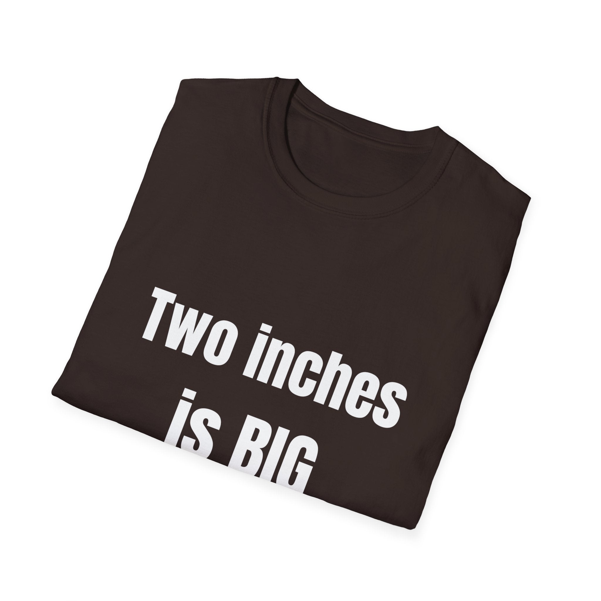 Big 2" Tee