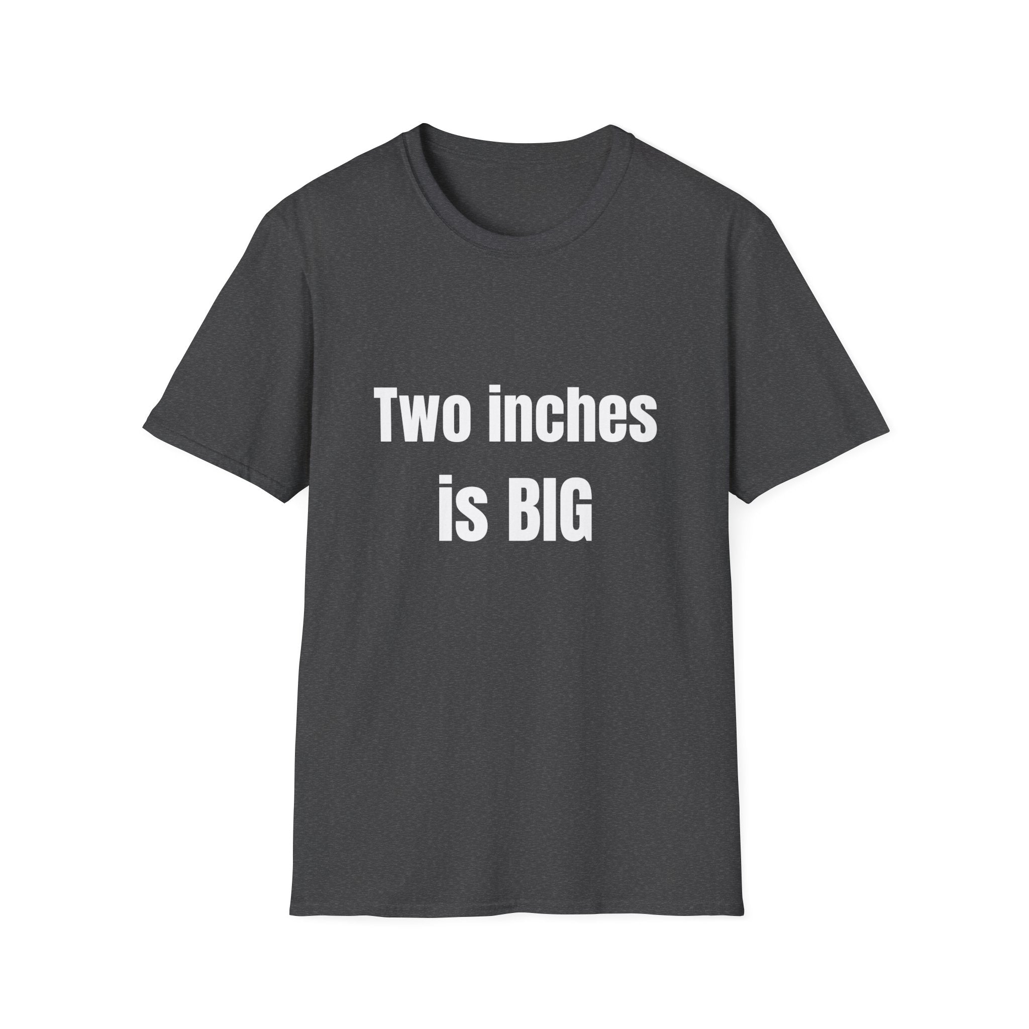 Big 2" Tee