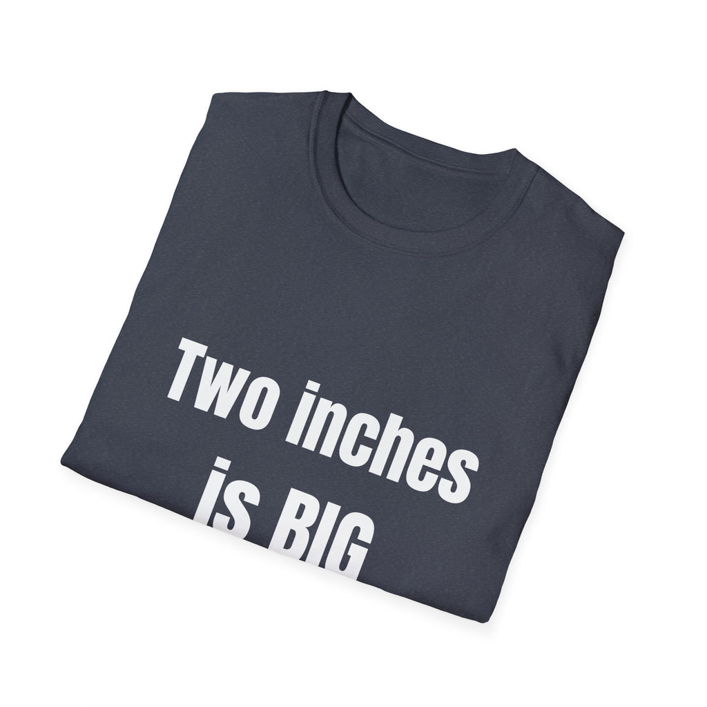 Big 2" Tee