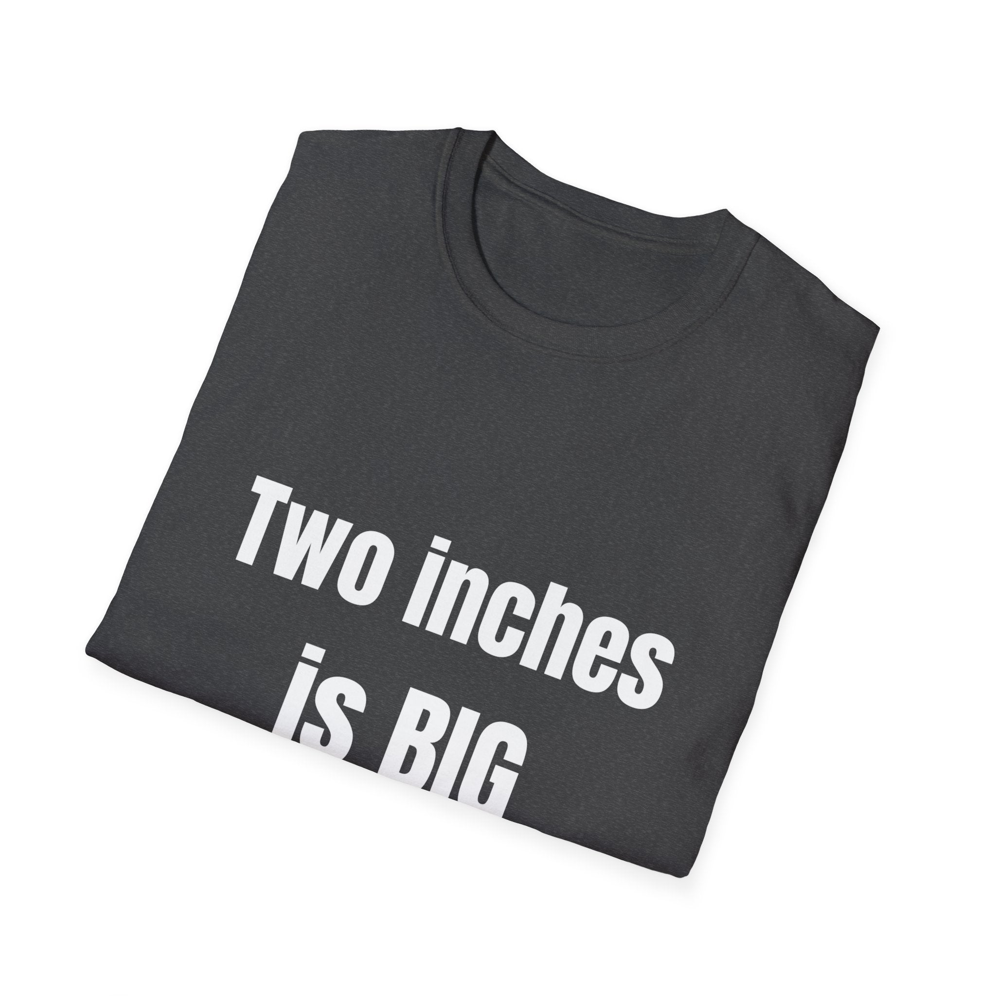 Big 2" Tee